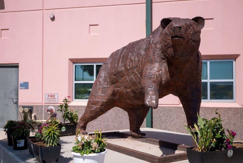 A bear statue is displayed in front of a pink building, highlighting the artistic design against the colorful architecture.
